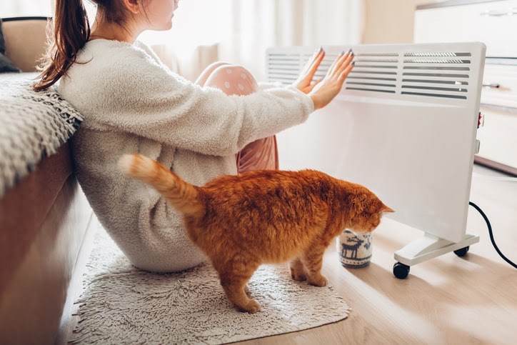 暖房で暖まる女性とネコの画像