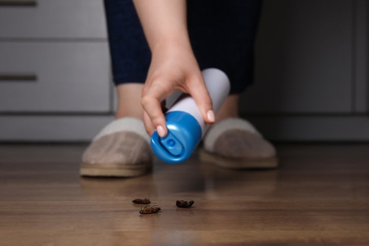 殺虫剤で虫を駆除する画像