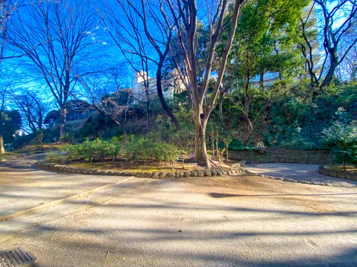 板橋区立中台しいのき公園